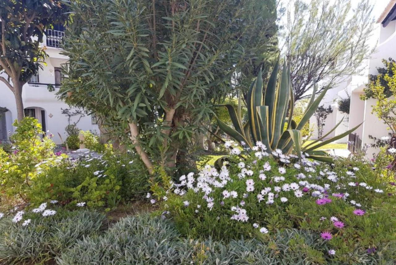 Apartment Sao Rafael Holidays Albufeira Dış mekan fotoğraf